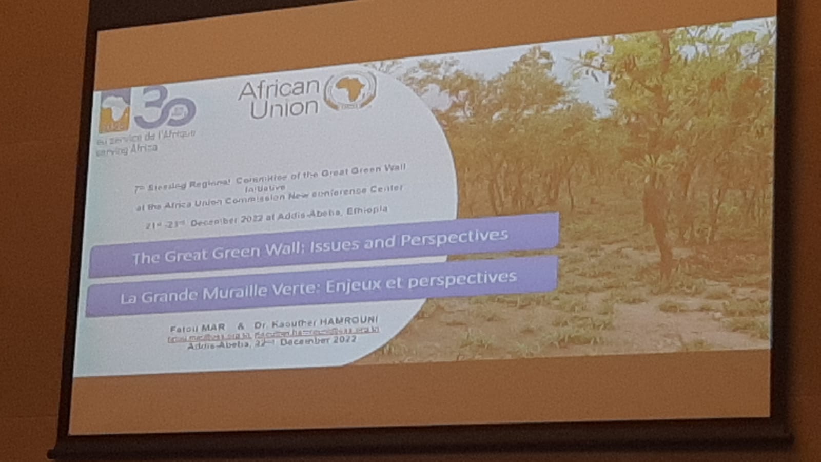 7th Conference of the Great Green Wall Initiative (GGWI) Regional Steering Committee, December 21 to 23. Addis Ababa