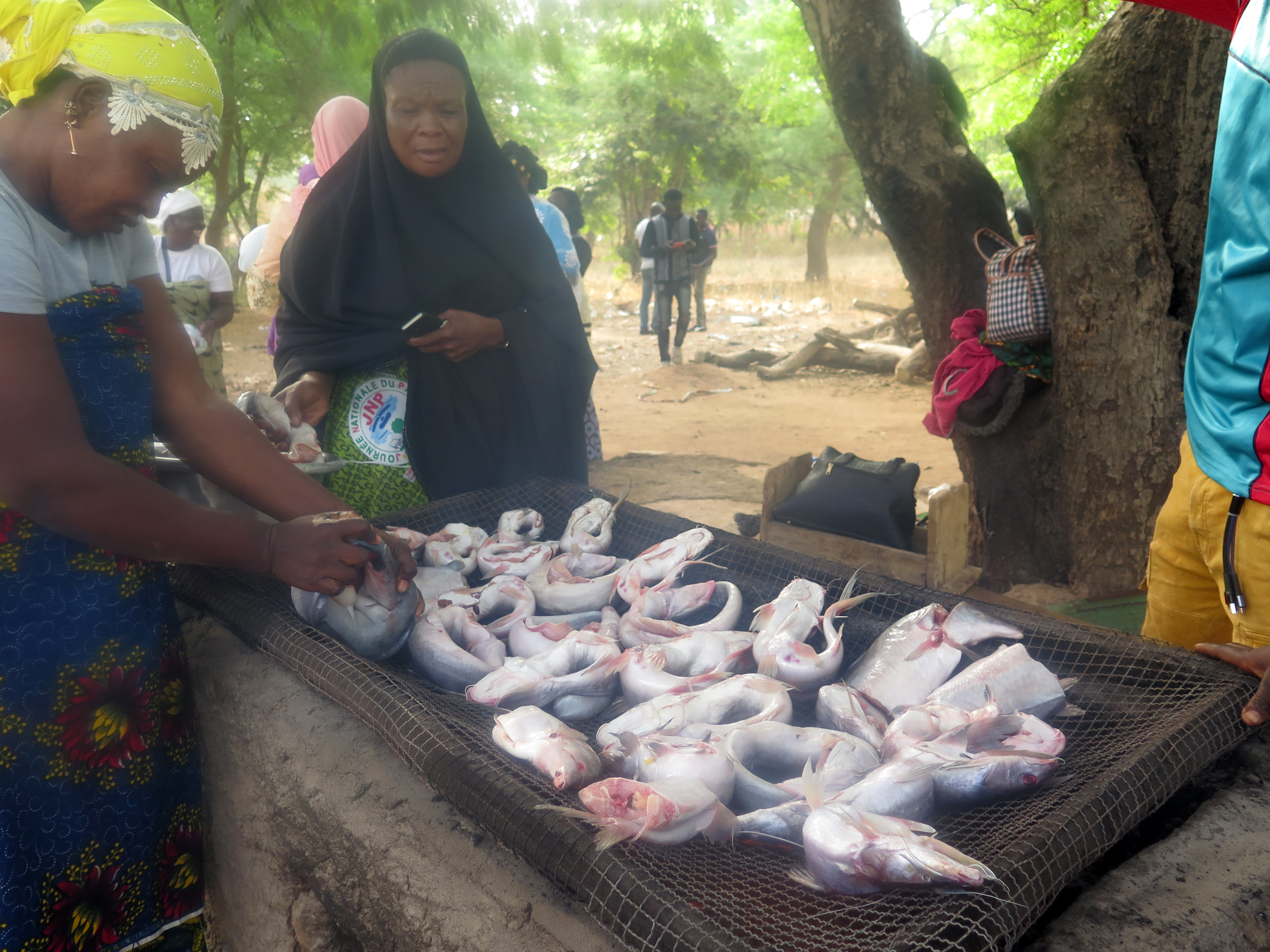 AdaptWAP Burkina Faso - Training of trainers in the fishery sector