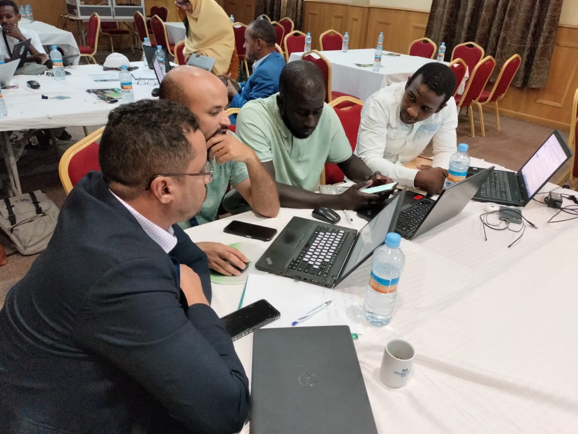 GMES&Africa and Digital Earth Africa