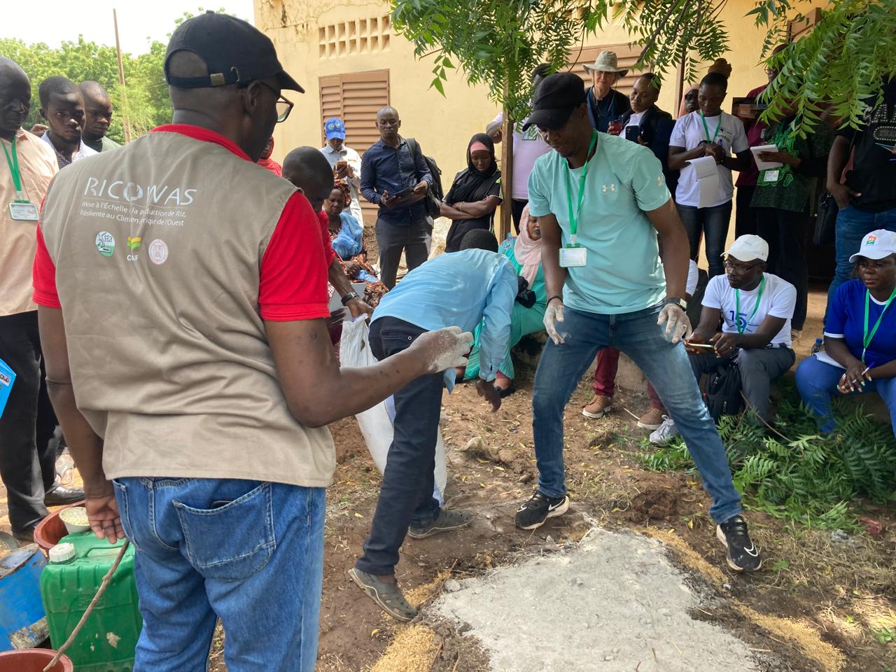  RICOWAS Project | À Samanko, deux journées intenses de formation et de démonstration pour renforcer la mise à l’échelle du Système de Riziculture Intensive (SRI) en Afrique de l’Ouest